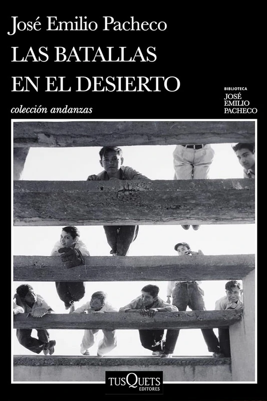 libro para leer Las batallas en el desierto